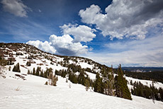 Dunraven Pass, Yellowstone Nationalpark