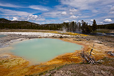 Black Opal Spring, Yellowstone Nationalpark