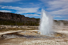 Jewel Geysir, Yellowstone Nationalpark