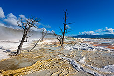 Mammoth Hot Springs, Yellowstone Nationalpark