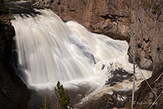 Gibbon Falls, Yellowstone Nationalpark