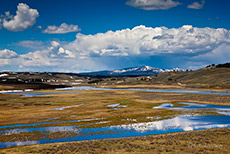 Hayden Valley, Yellowstone Nationalpark