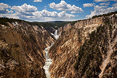 Yellowstone Canyon mit den Lower Falls, Yellowstone Nationalpark