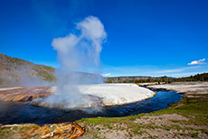 Cliff Geysir, Yellowstone Nationalpark