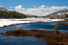 Lewis River, Yellowstone Nationalpark