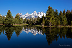 Schwabacher Landing am Snake River, Grand Teton Nationalpark