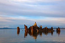 Tufas am Monolake