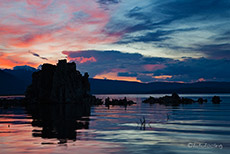 Tufas am Monolake