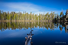 Idyllischer See im Yosemite Nationalpark