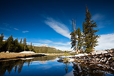 Schneereste im Yosemite Nationalpark