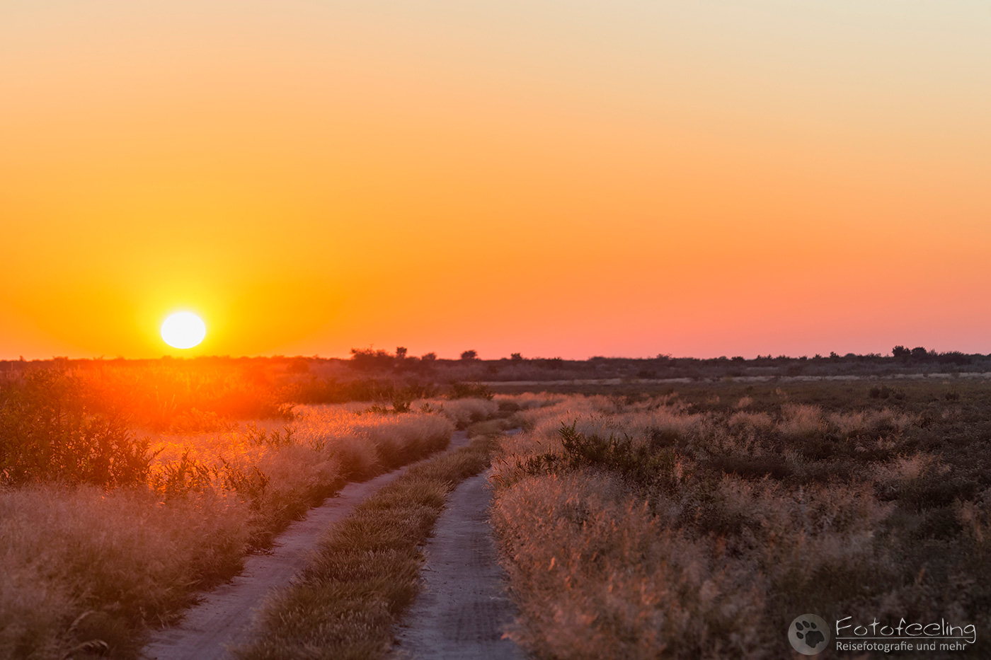 Piste in der Zentral Kalahari