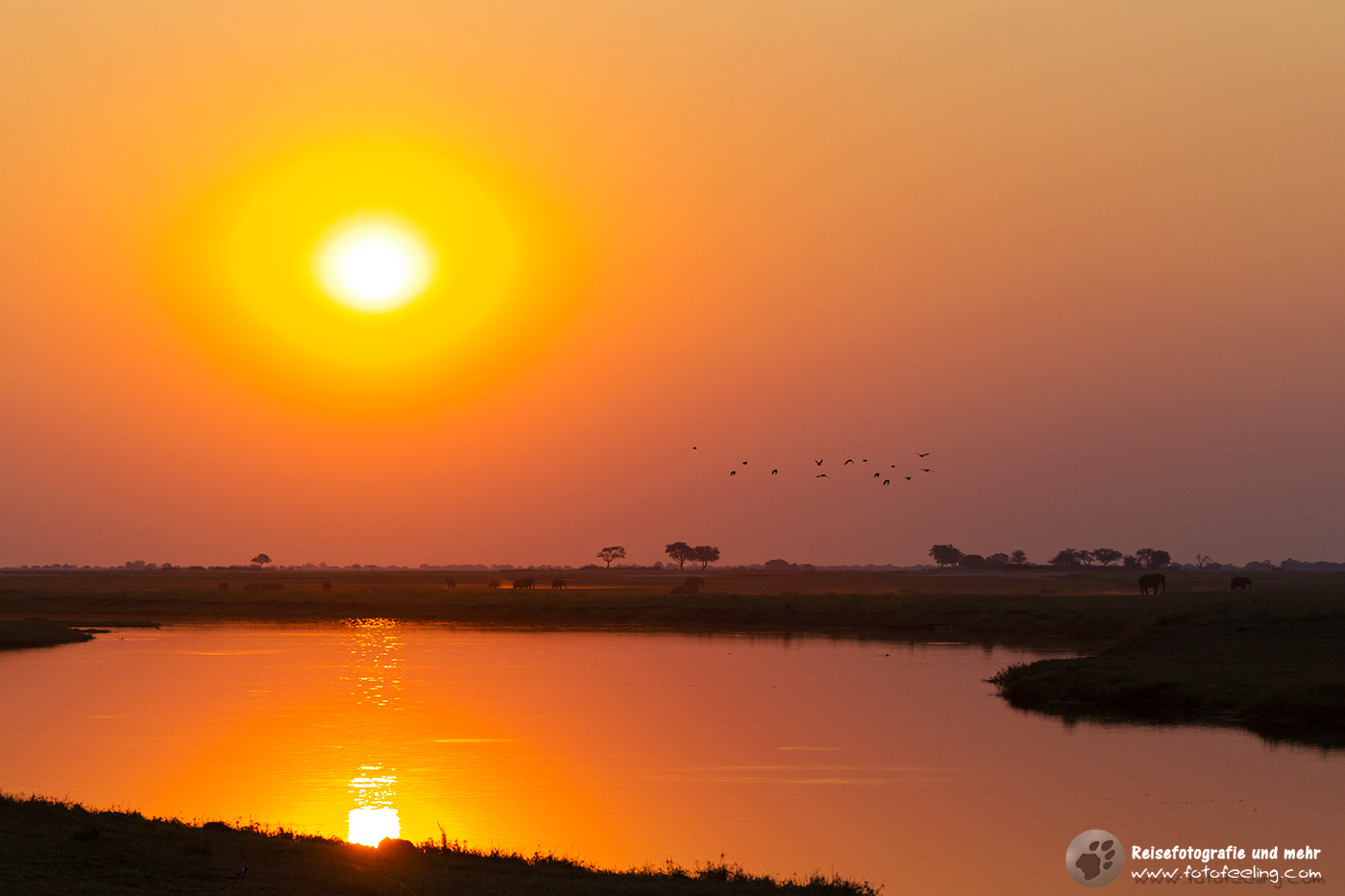 Sonnenuntergang am Chobe