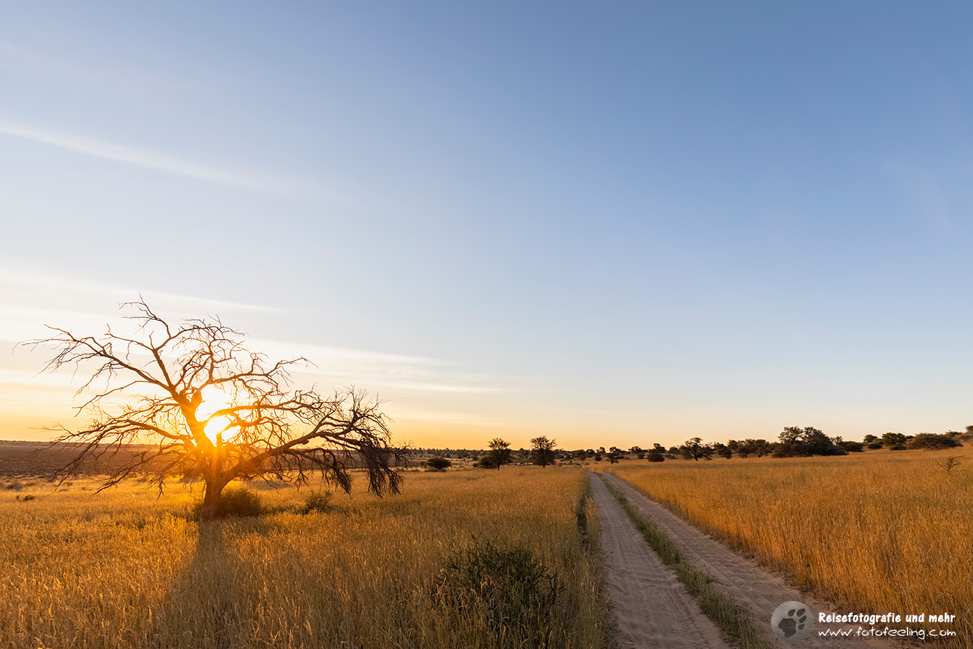 Frühmorgens unterwegs im Park