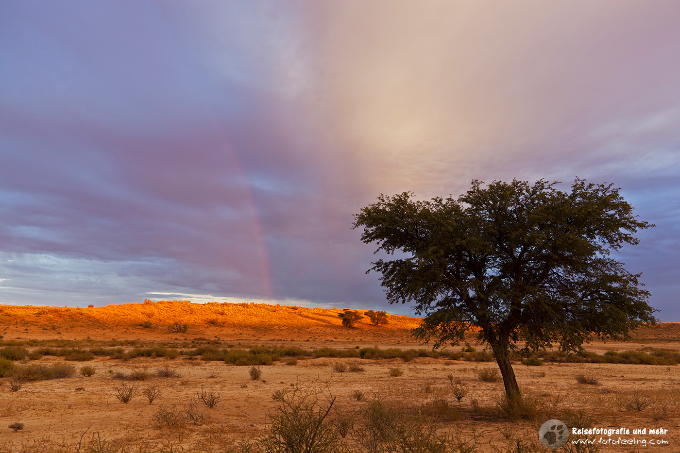 Regenbogen in der Kalahari