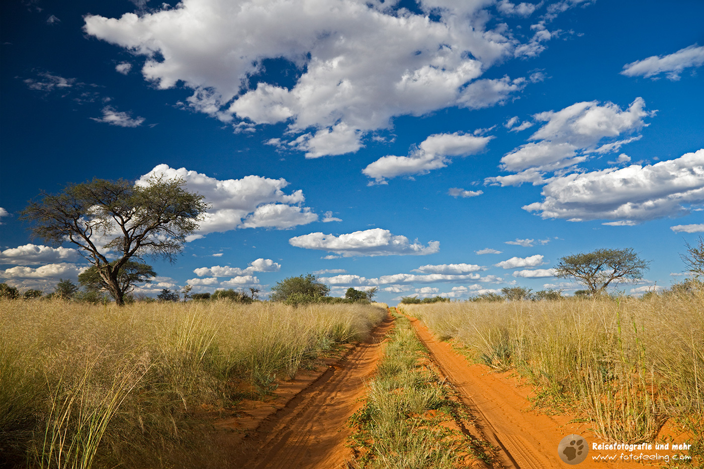 Piste in Mabuasehube