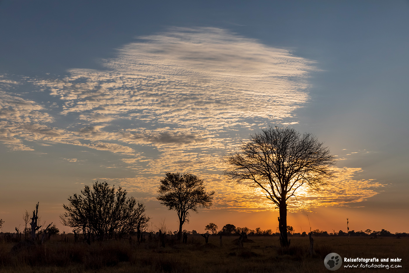Sonnenaufgang im Moremi