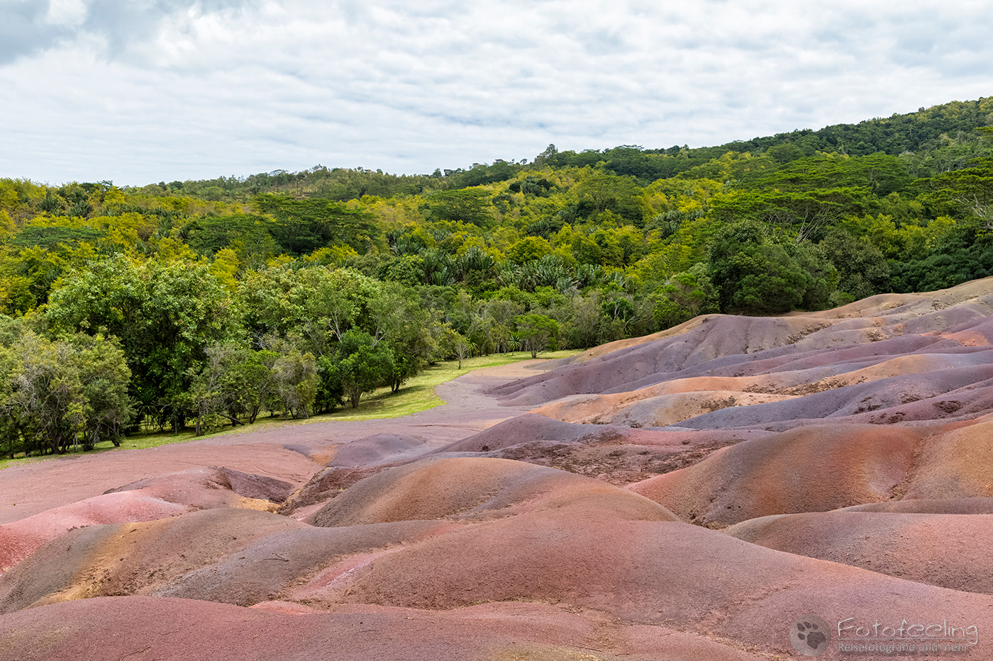 Seven Coloured Earths