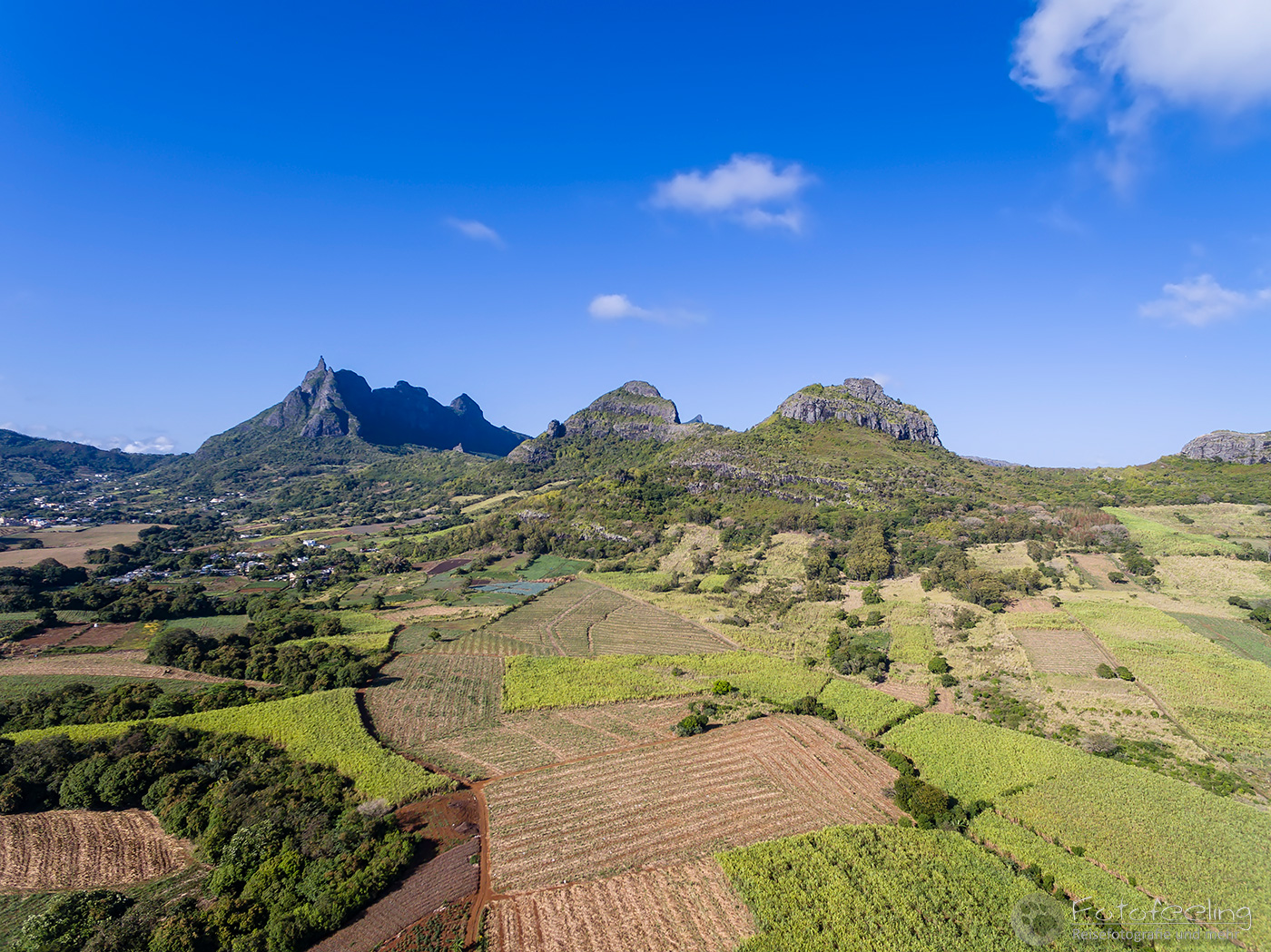 Zuckerrohrfelder mit dem Berg Pieter Both