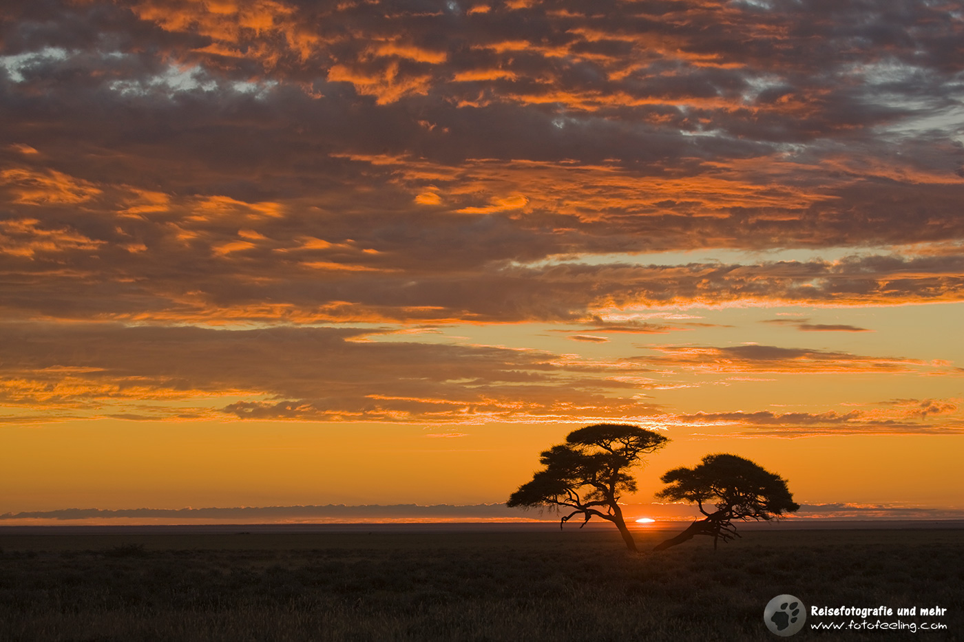 Sonnenaufgang bei Okaukuejo
