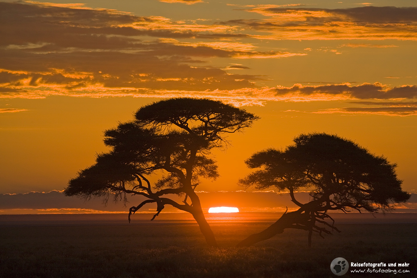 Sonnenaufgang bei Okaukuejo