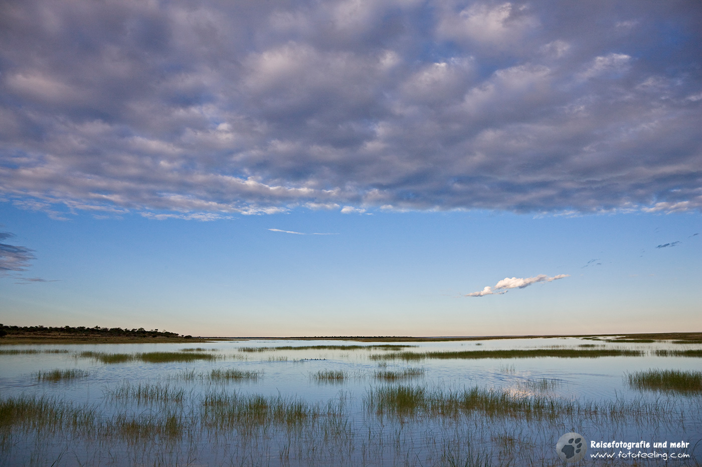 Wasser auf der Etosha Pfanne