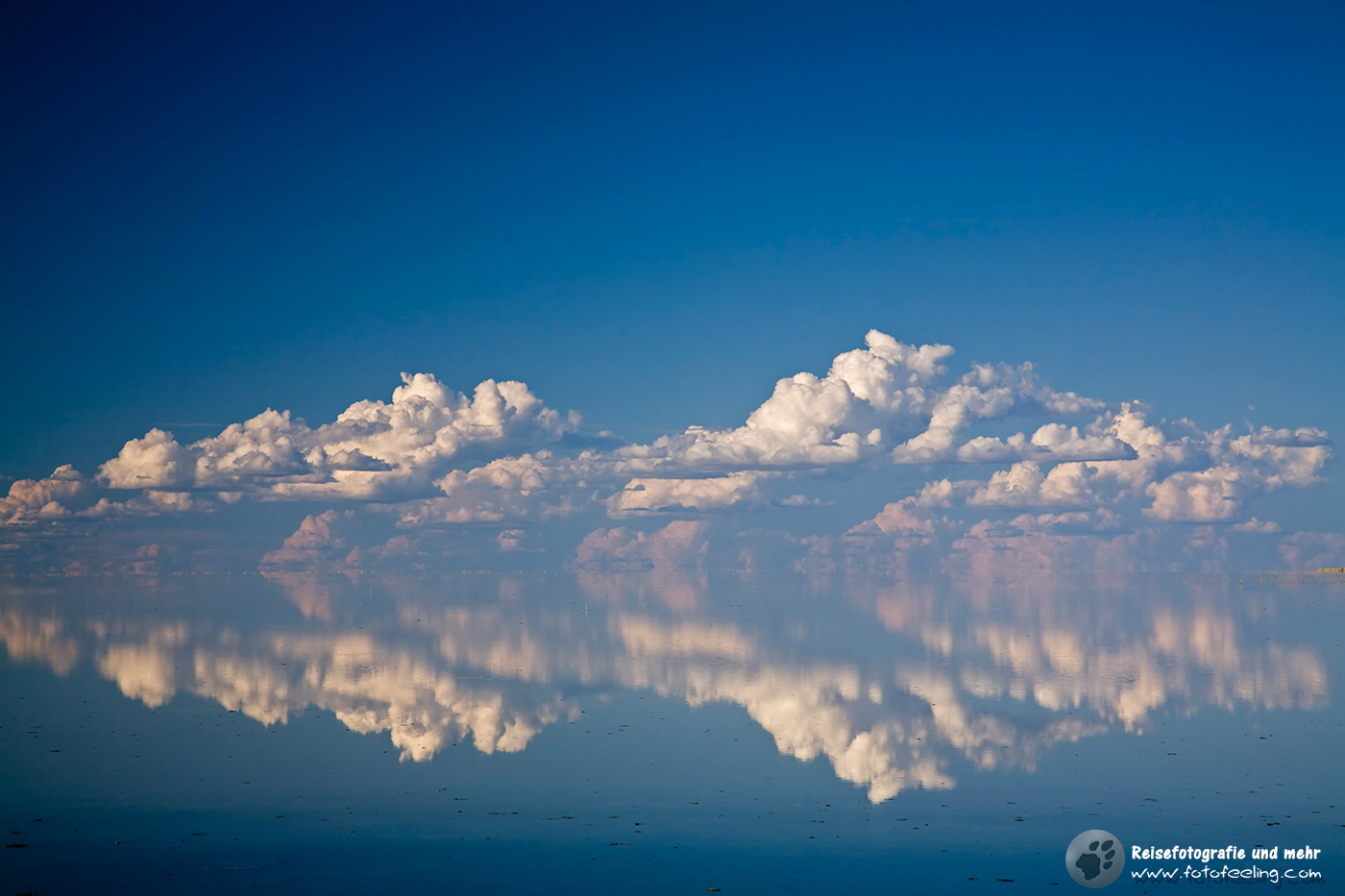 Wasser auf der Etosha Pfanne