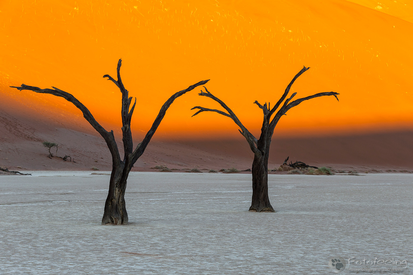 Tote Bäume im Deadvlei