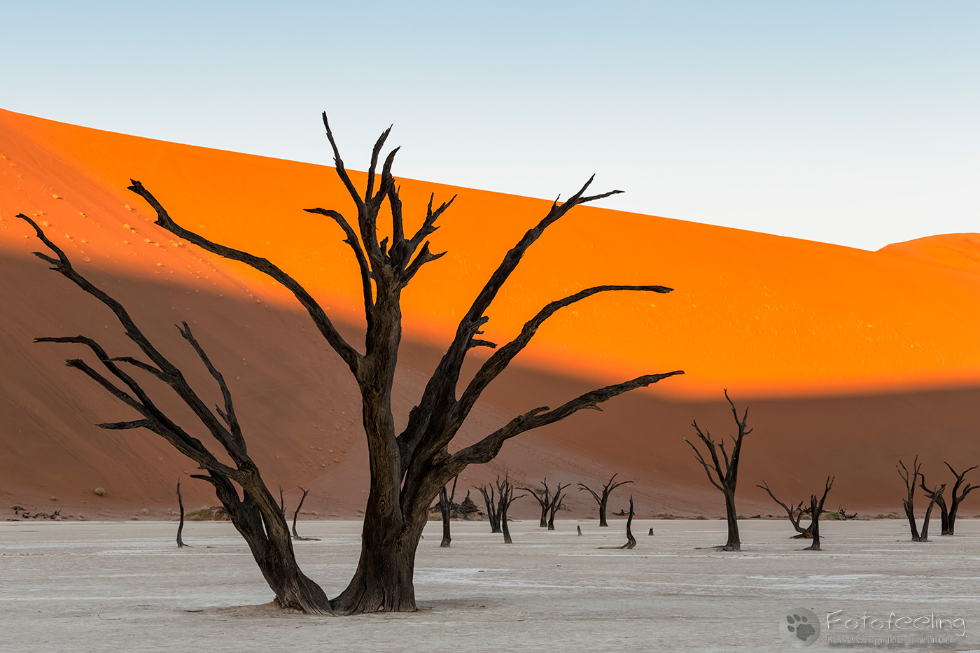 Tote Bäume im Deadvlei