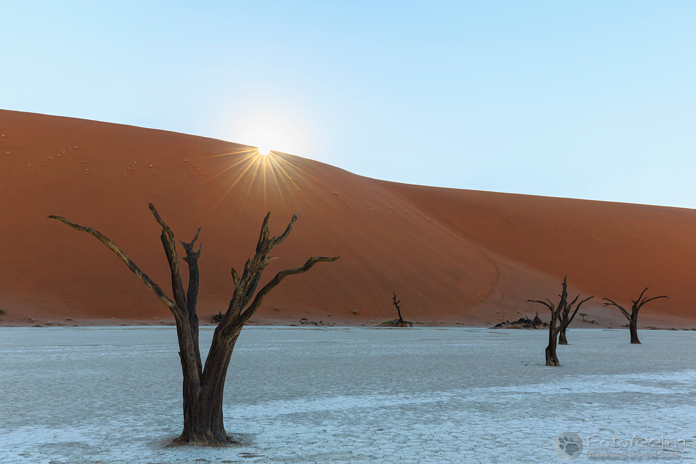 Tote Bäume im Deadvlei
