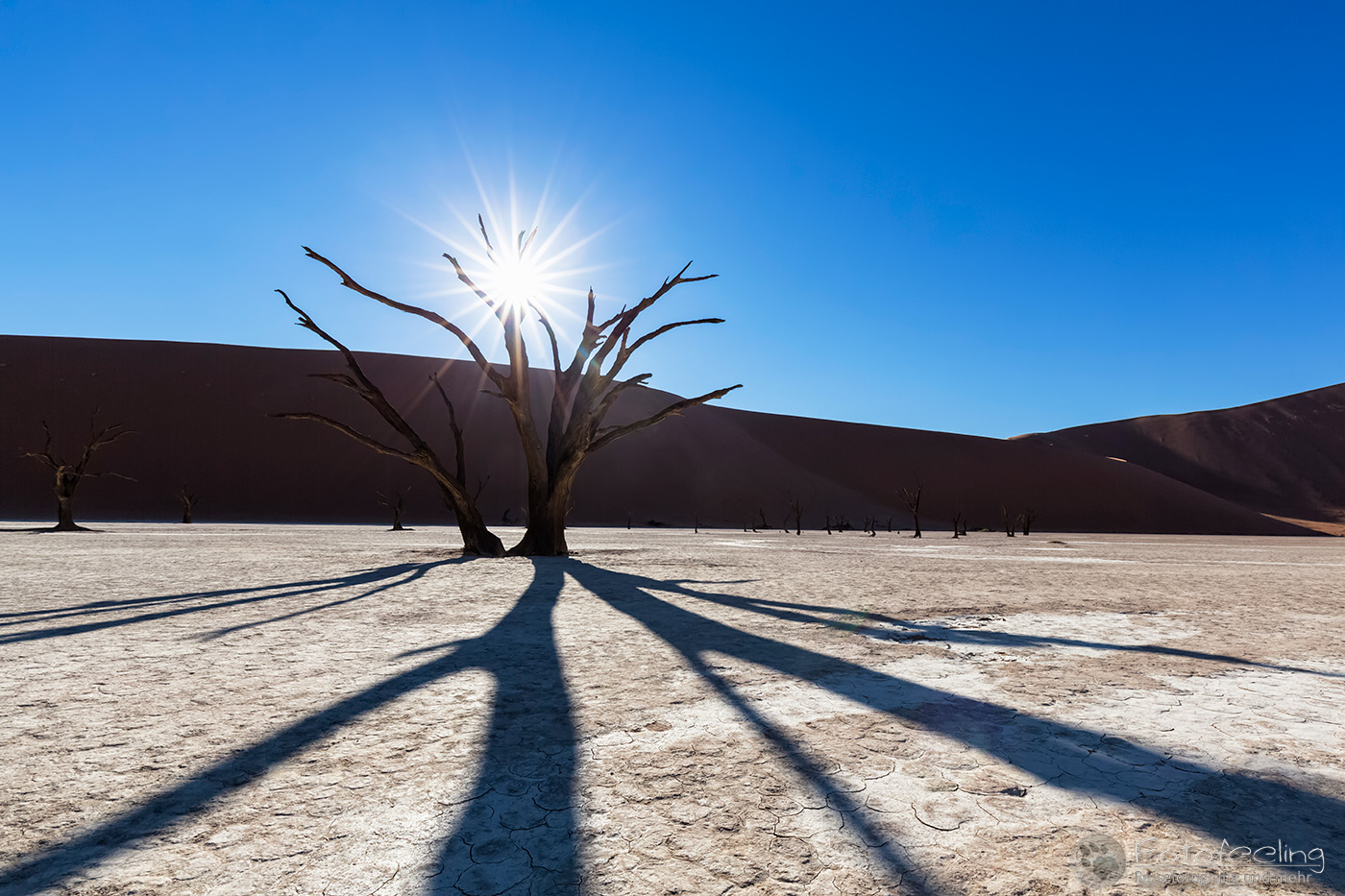 Tote Bäume im Deadvlei