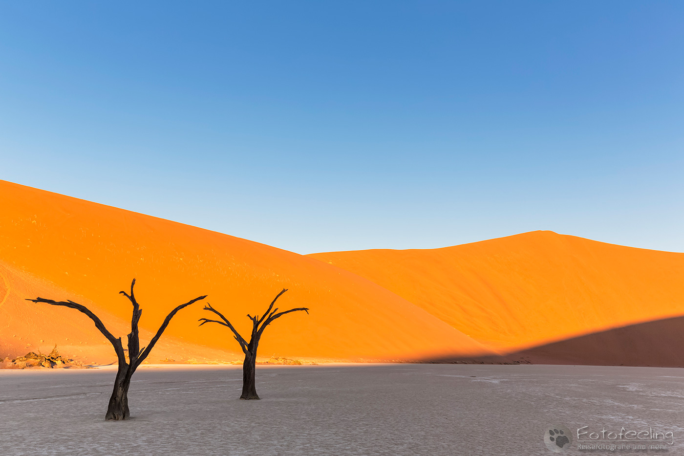 Tote Bäume im Deadvlei
