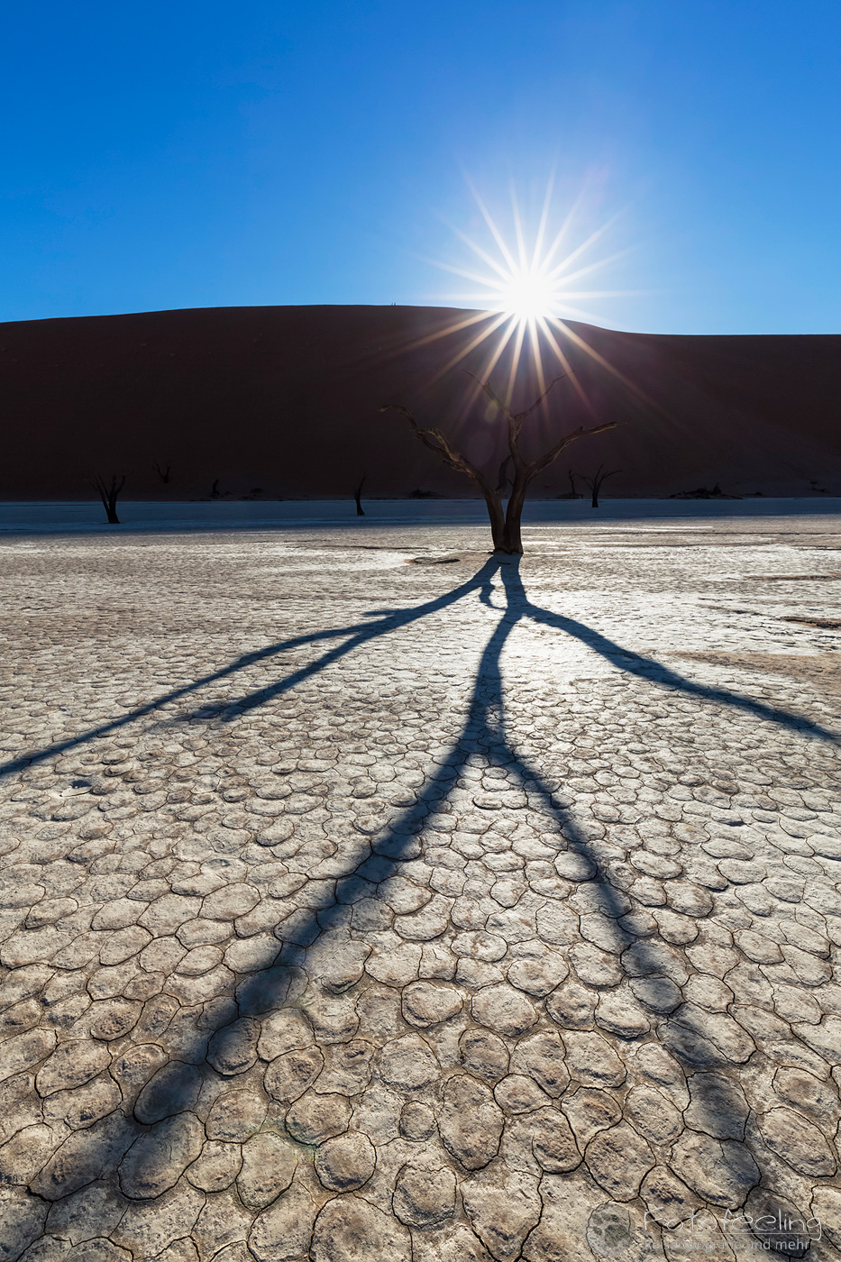 Tote Bäume im Deadvlei