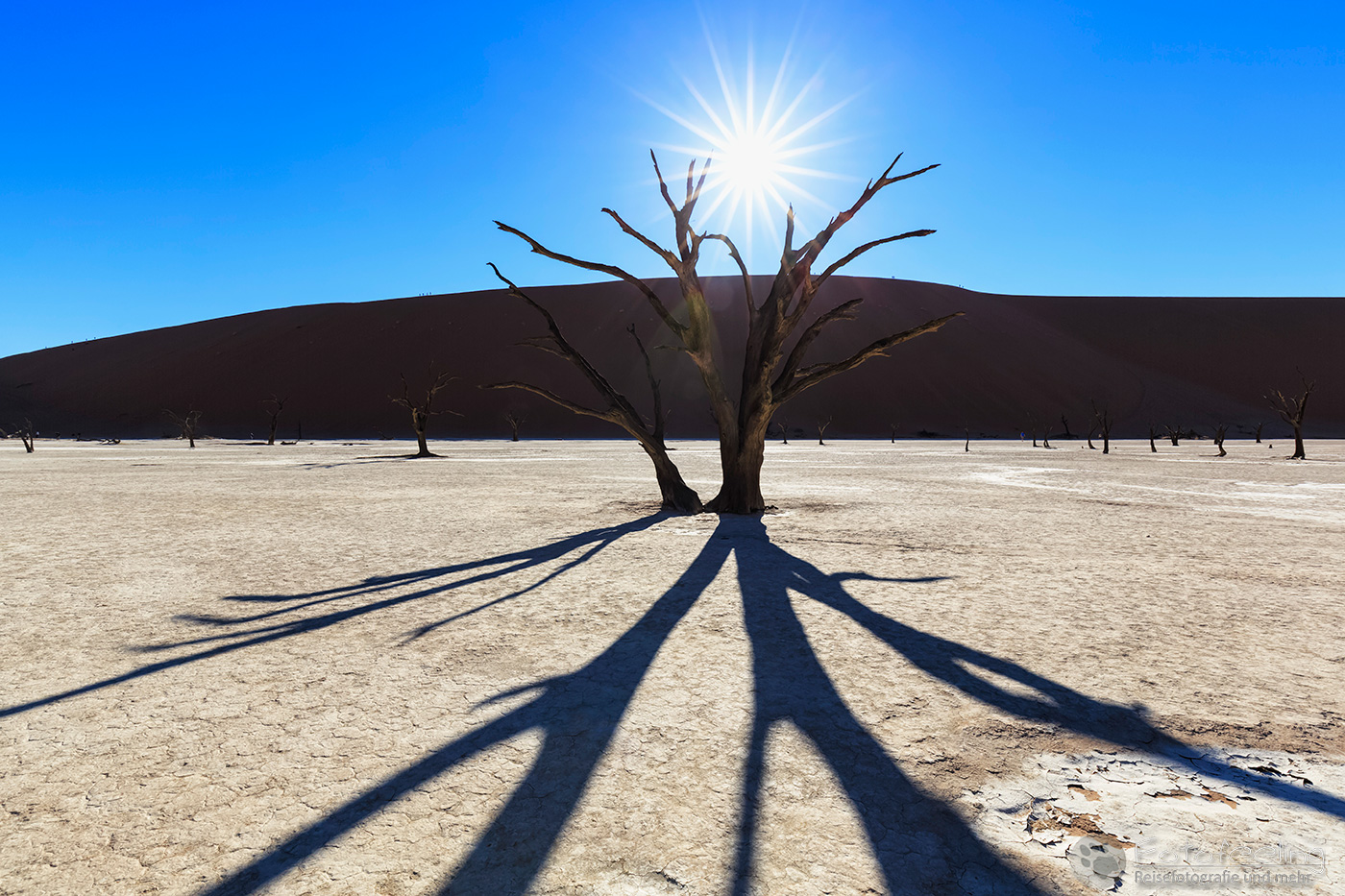 Tote Bäume im Deadvlei