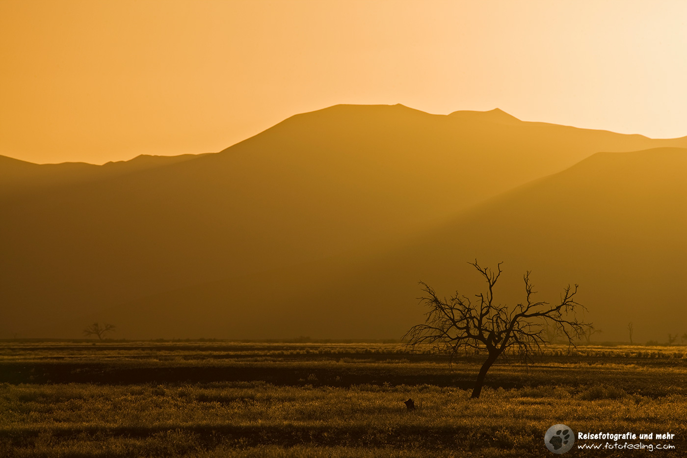 Sonnenuntergang im Tsauchab River, Namib Wüste, Namibia
