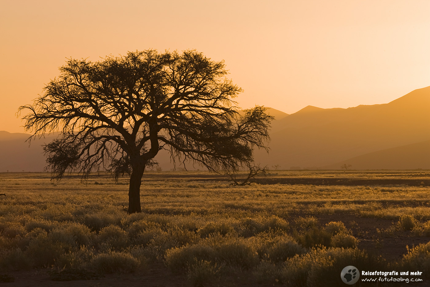 Sonnenuntergang im Tsauchab River, Namib Wüste, Namibia