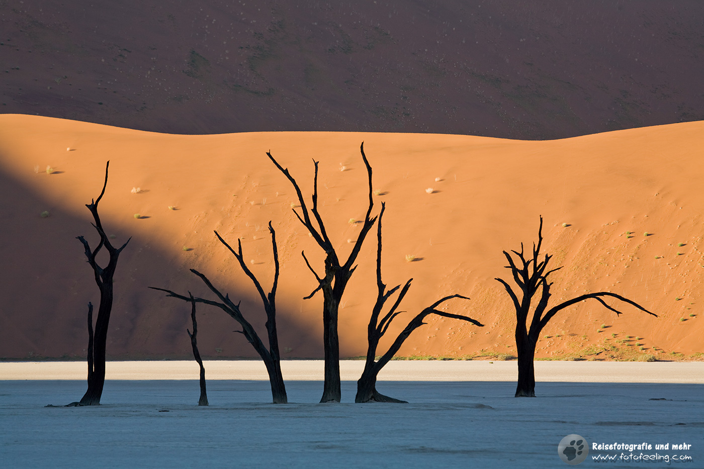 Abgestorbene Bäume im Dead Vlei
