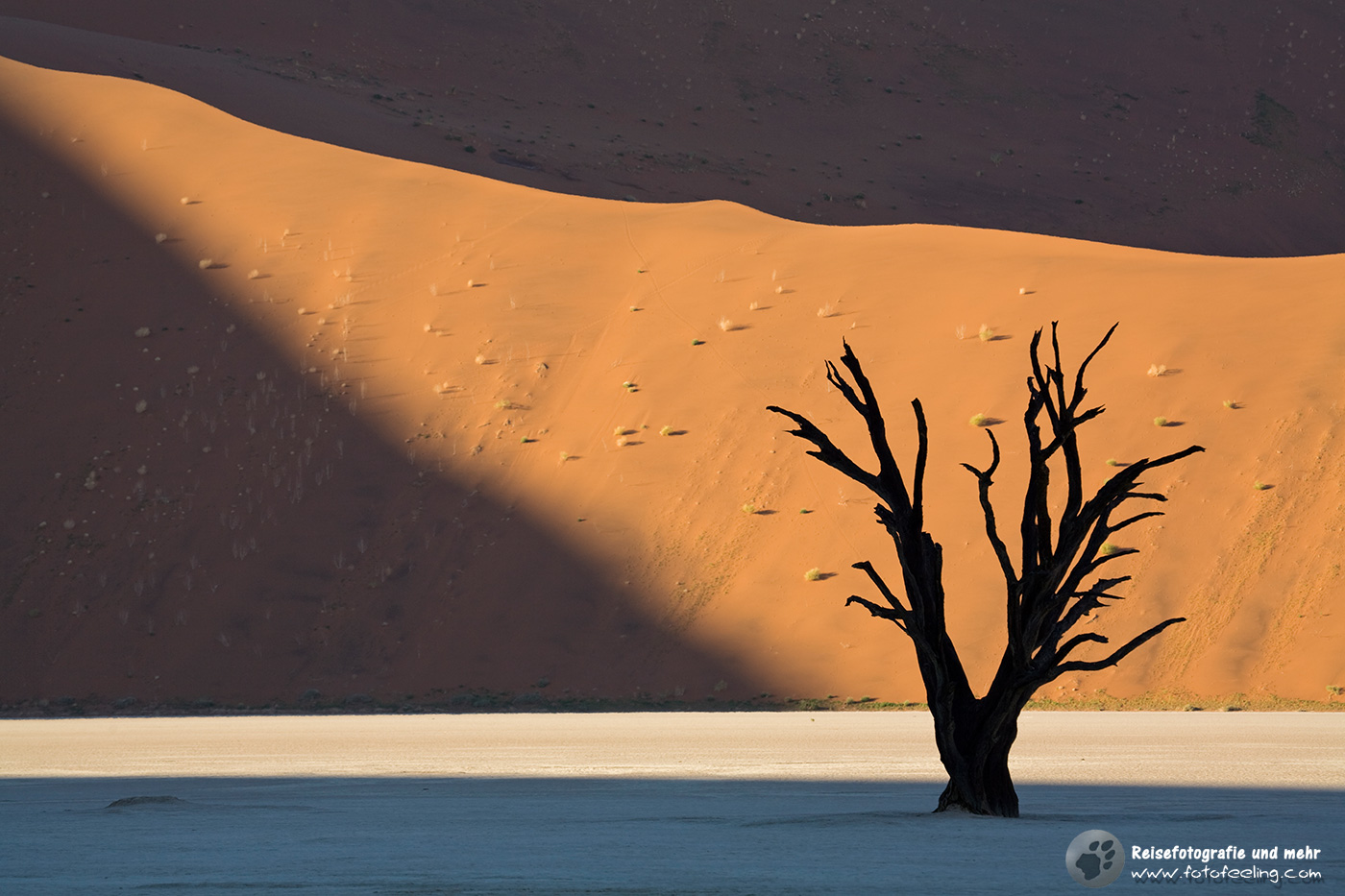Abgestorbene Bäume im Dead Vlei