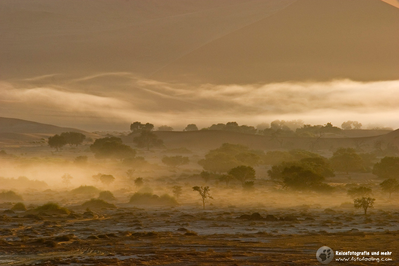 Nebel in den Sanddünen