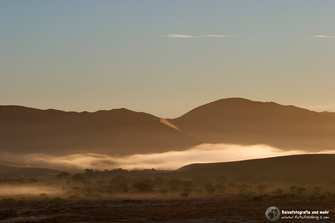 Nebel in den Sanddünen