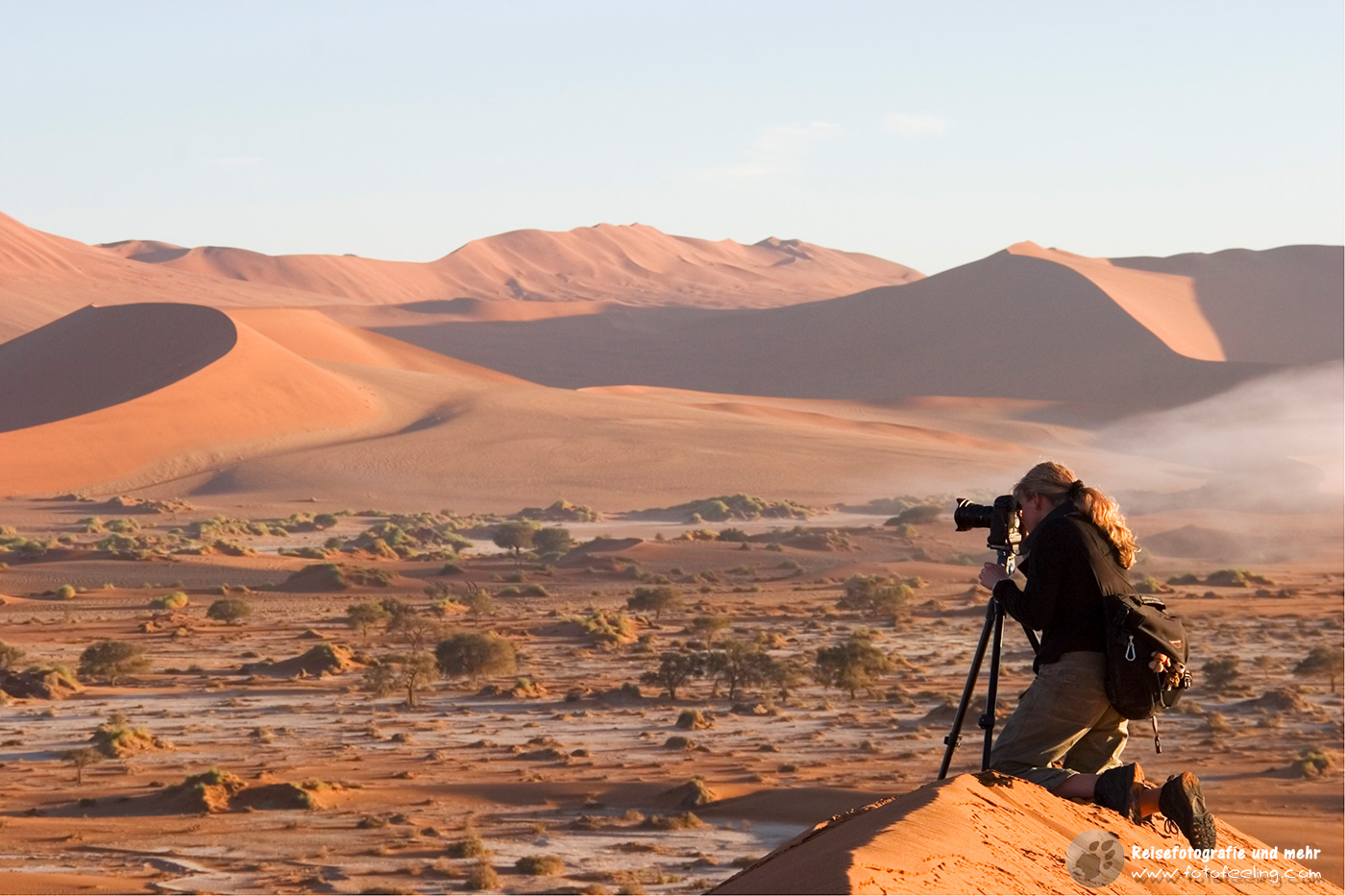 Nebel in den Sanddünen