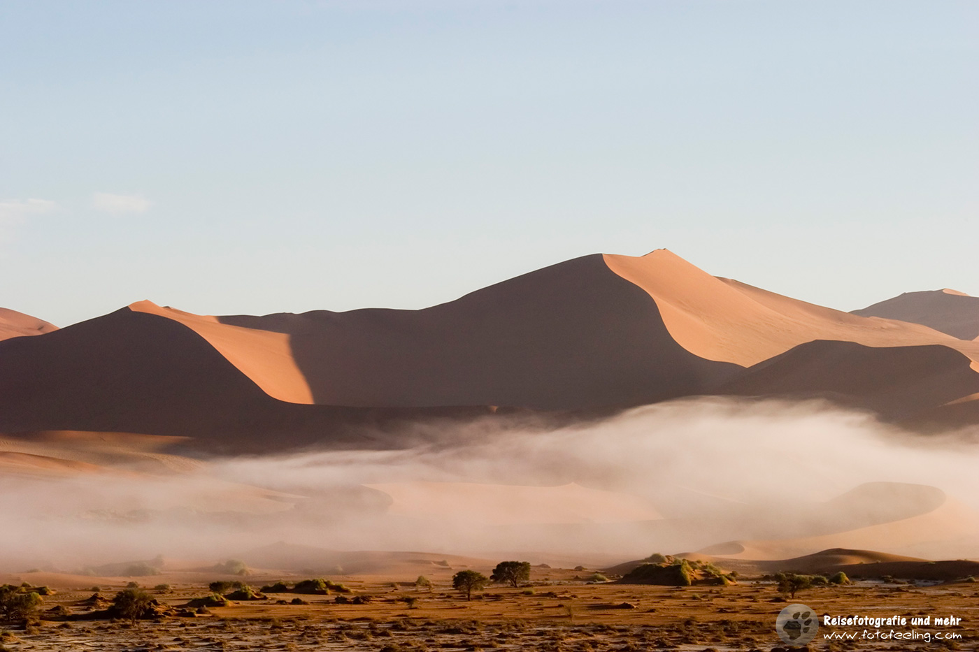 Nebel in den Sanddünen