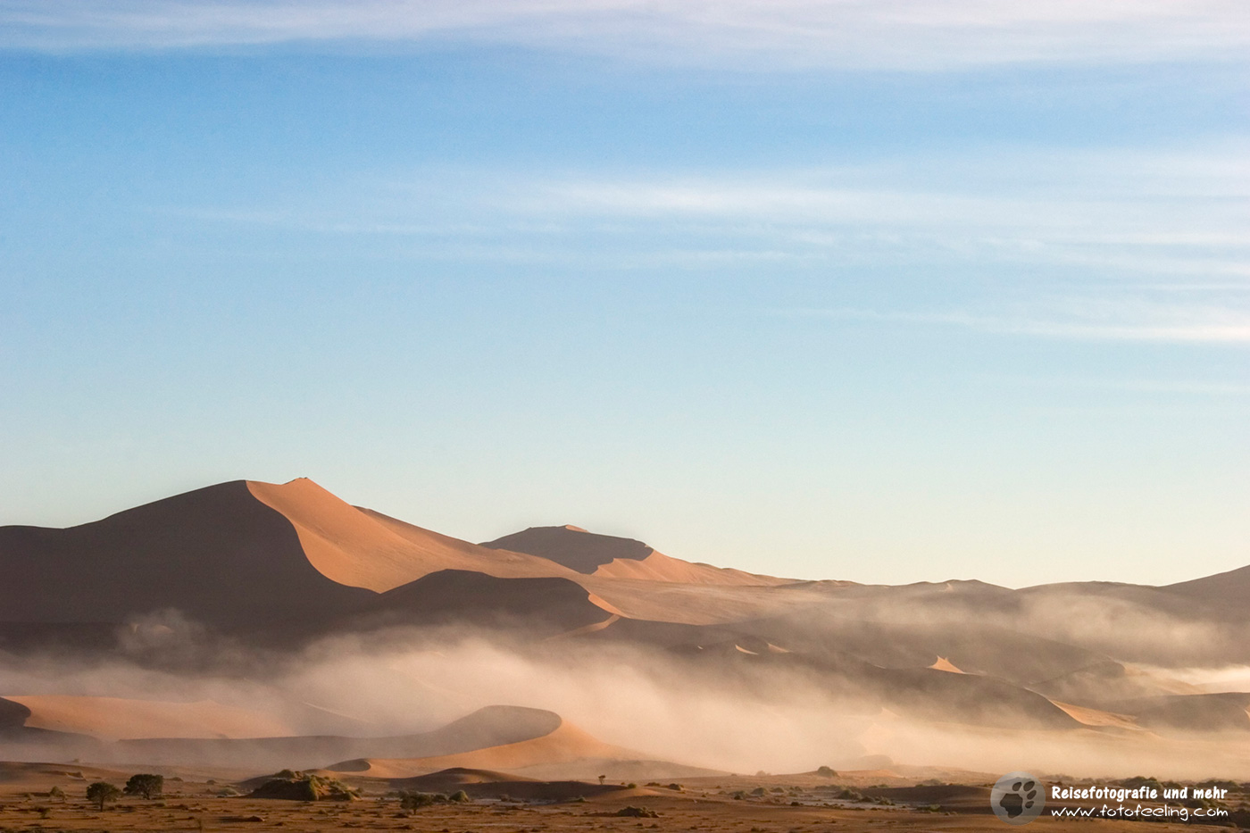 Nebel in den Sanddünen