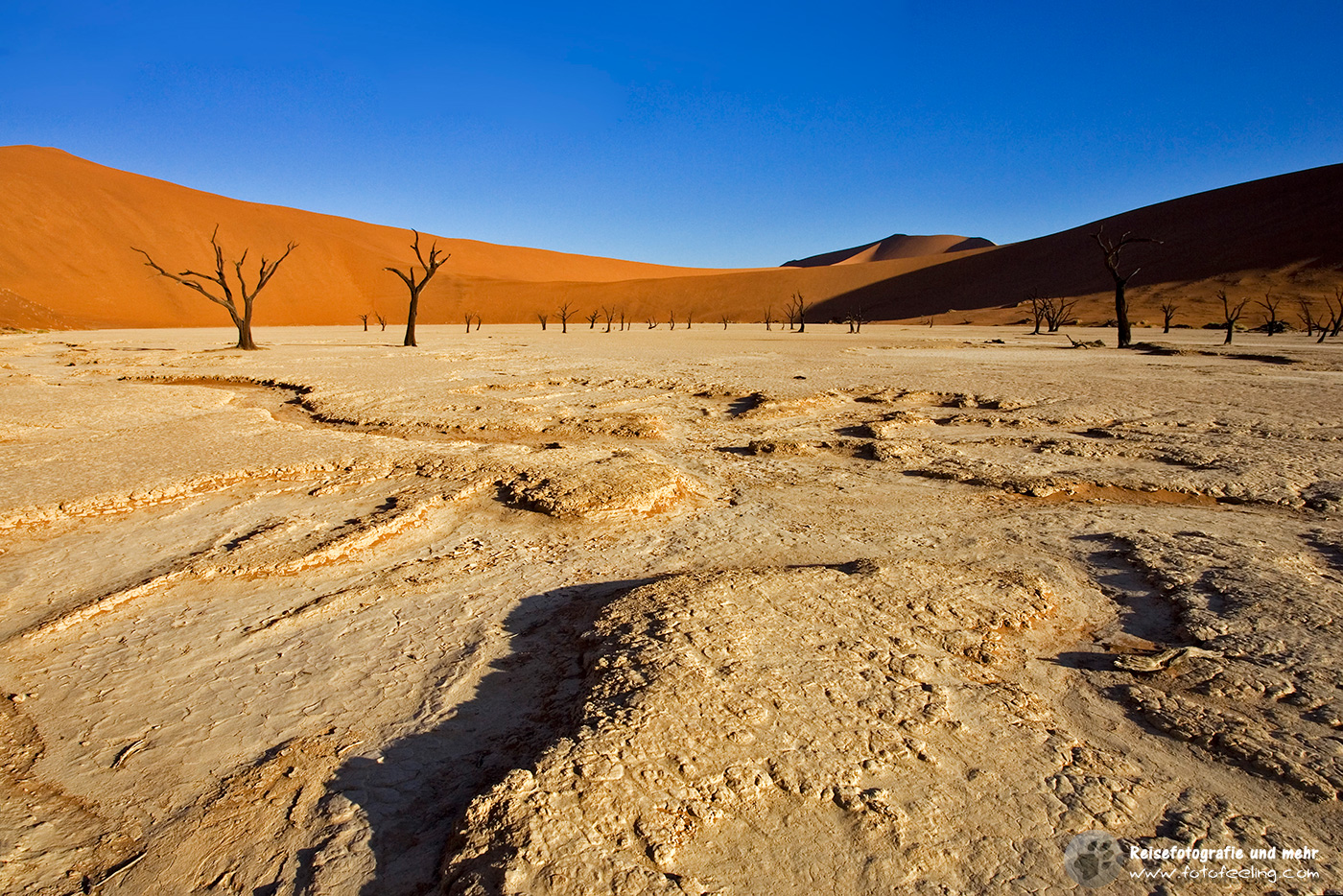 Lehmboden im Dead Vlei