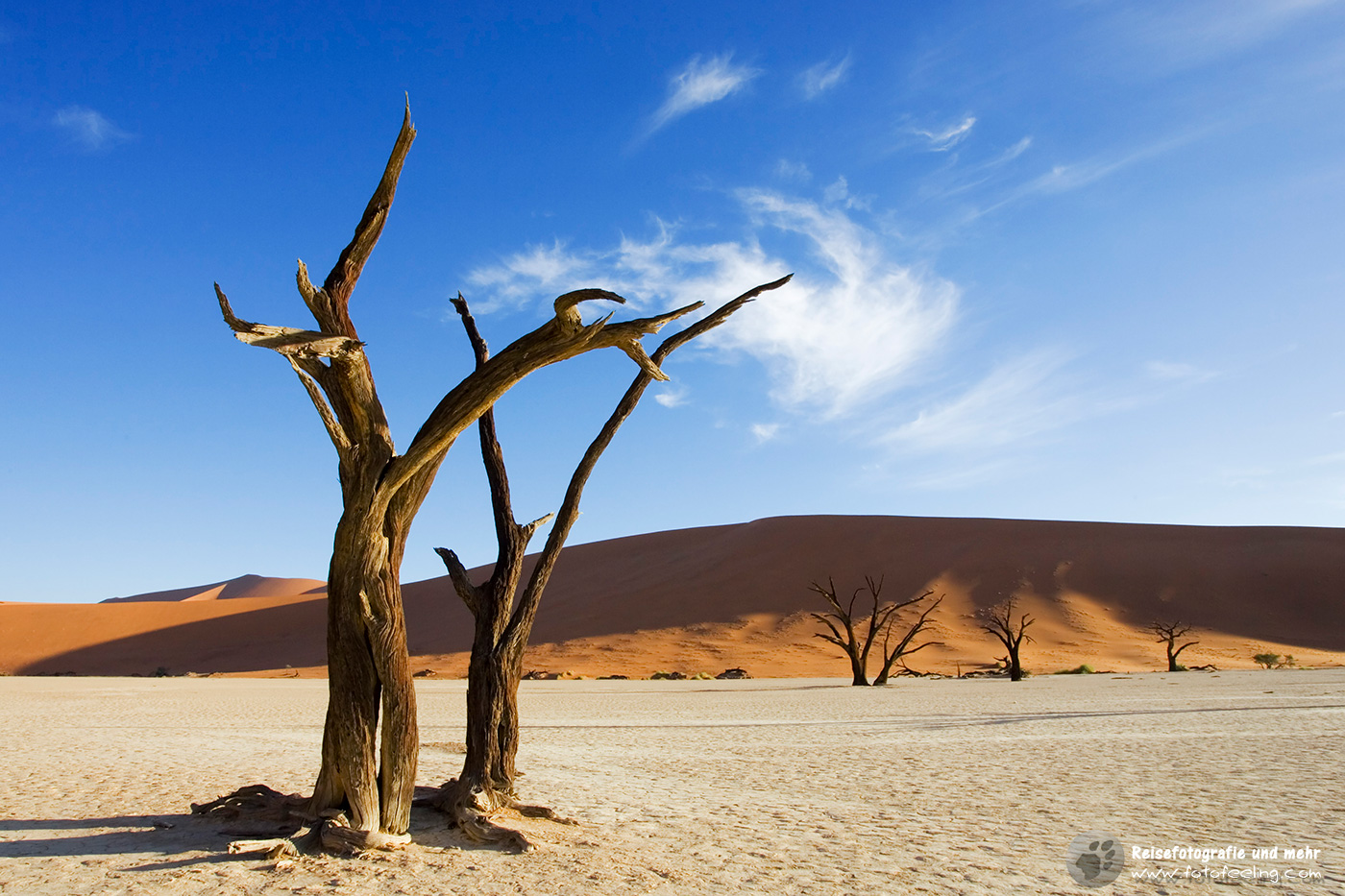 Tote Bäume im Dead Vlei