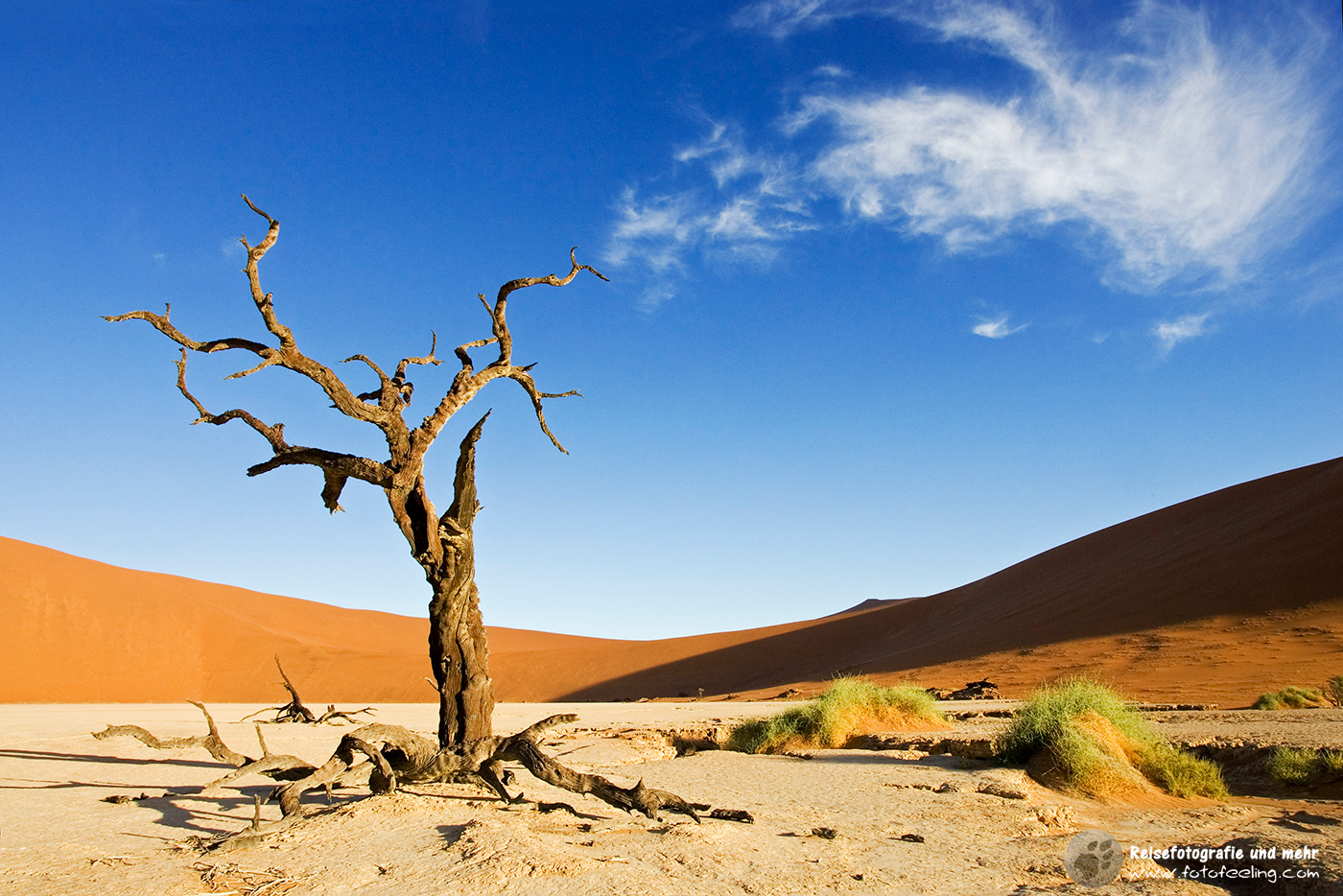 Tote Bäume im Dead Vlei