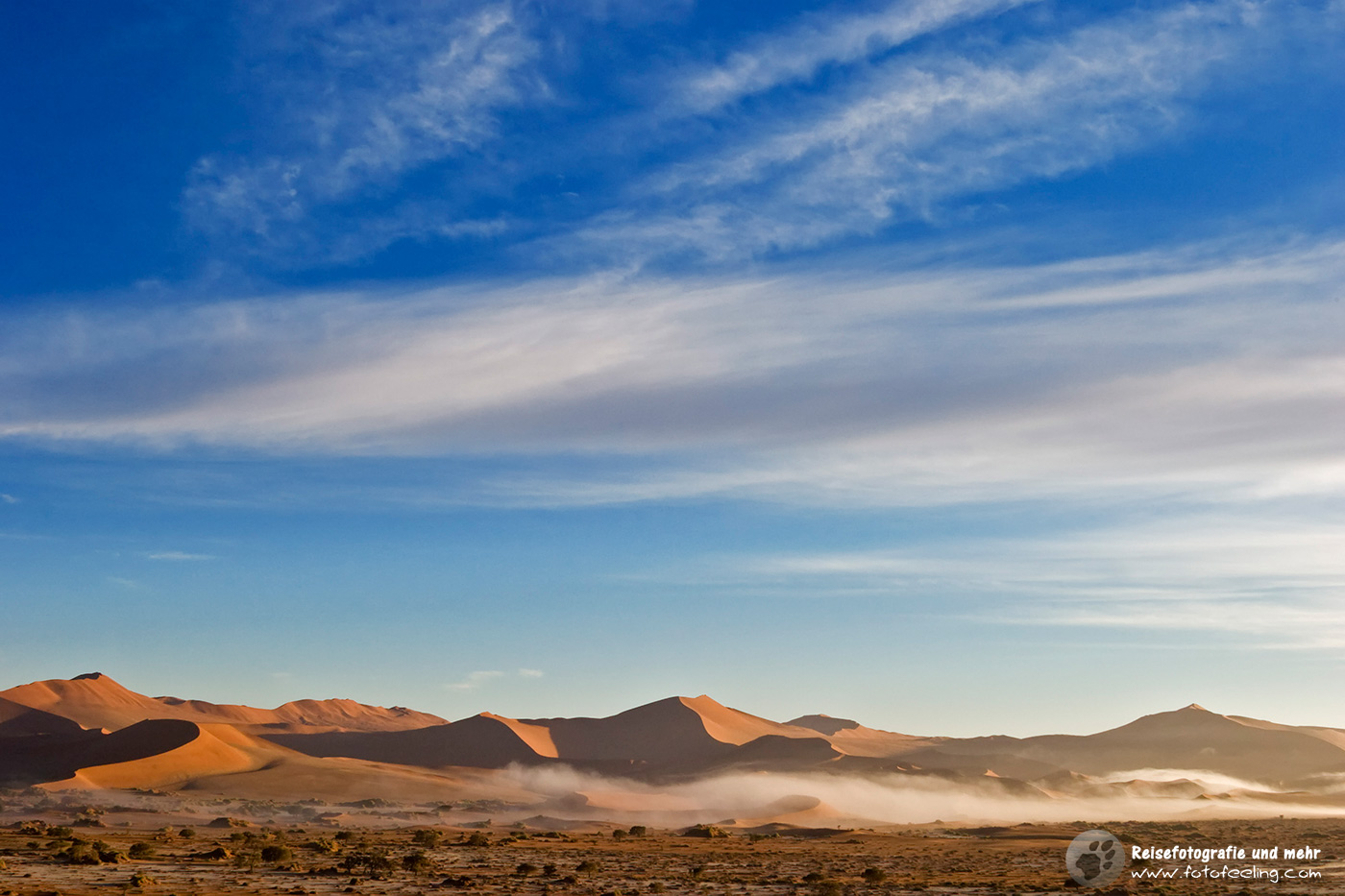 Nebel in den Sanddünen