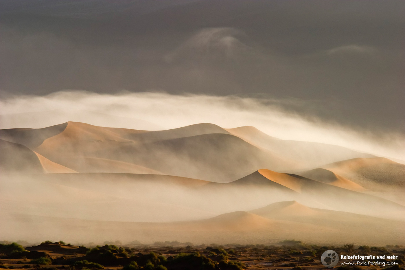 Nebel in den Sanddünen