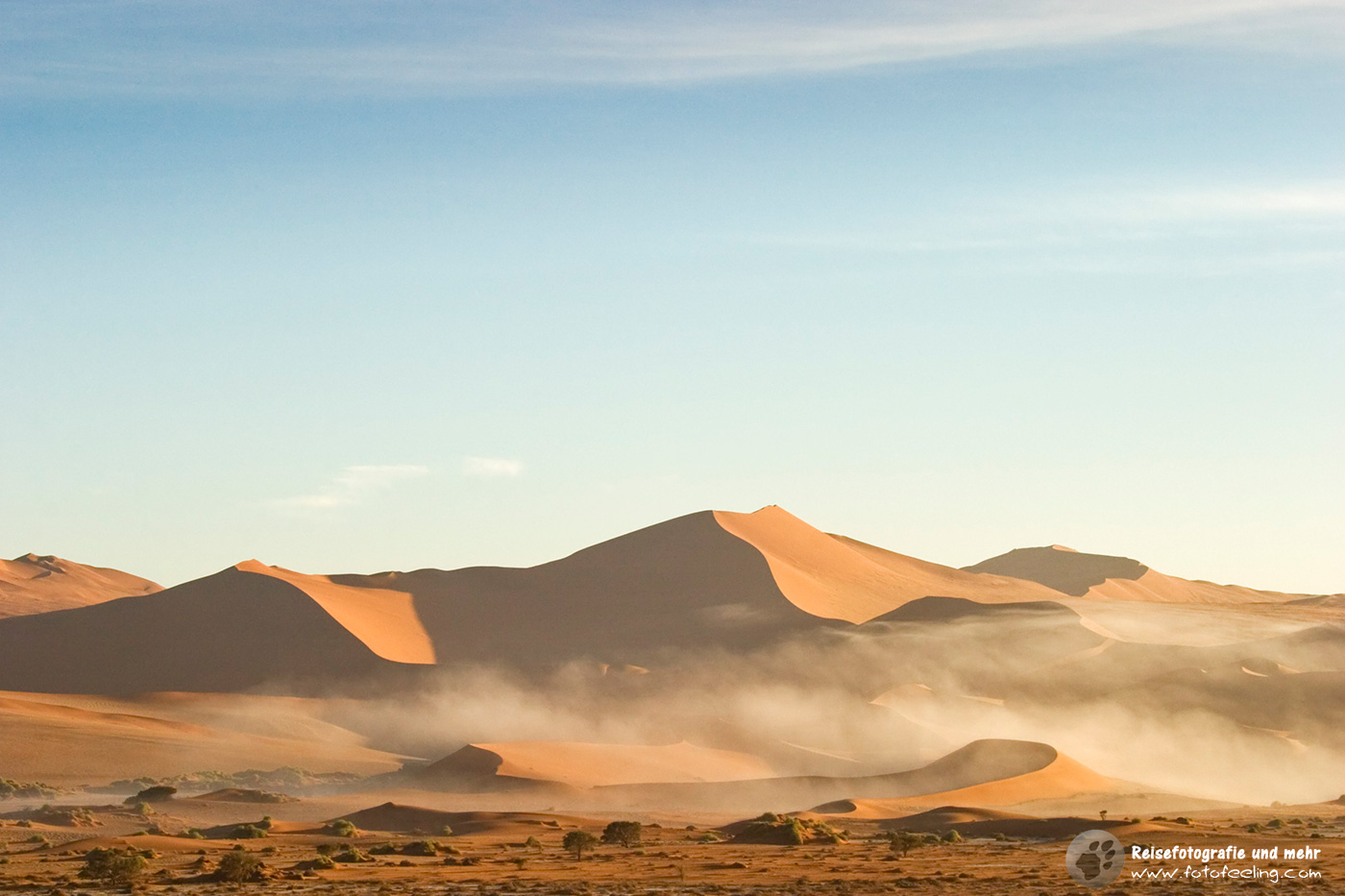 Nebel in den Sanddünen