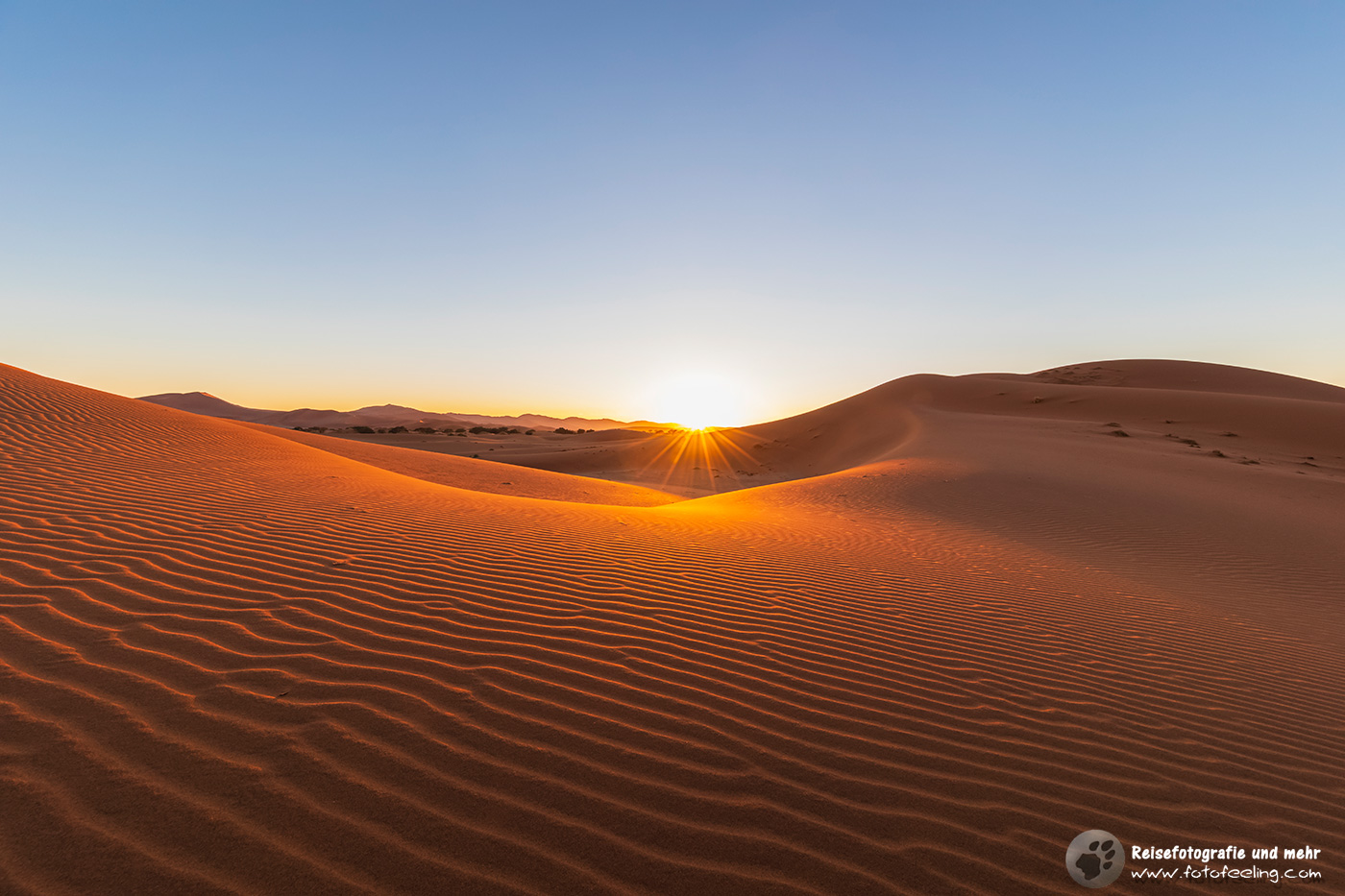 Dünen in der Namib im Gegenlicht