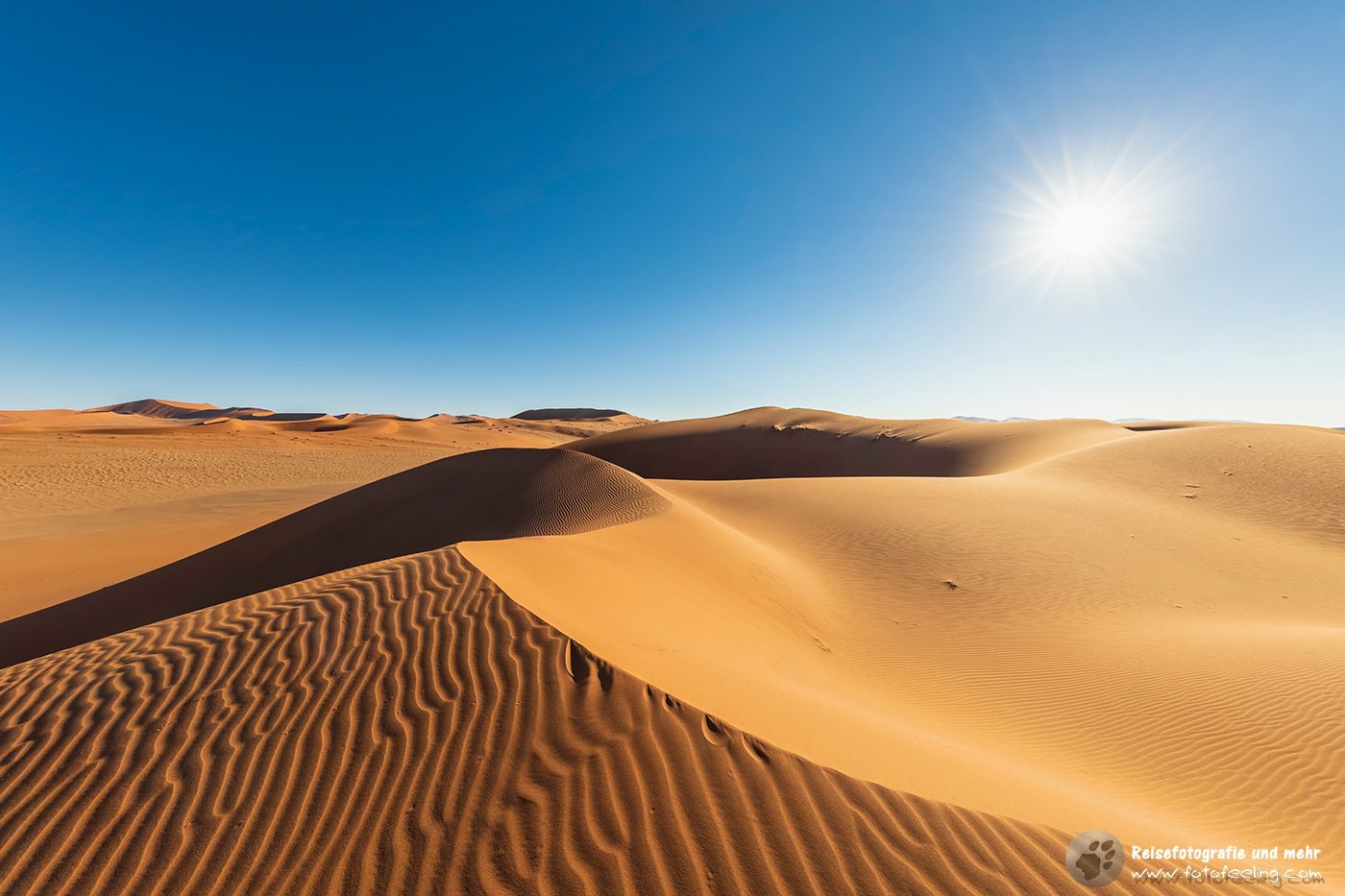 Dünen in der Namib im Gegenlicht